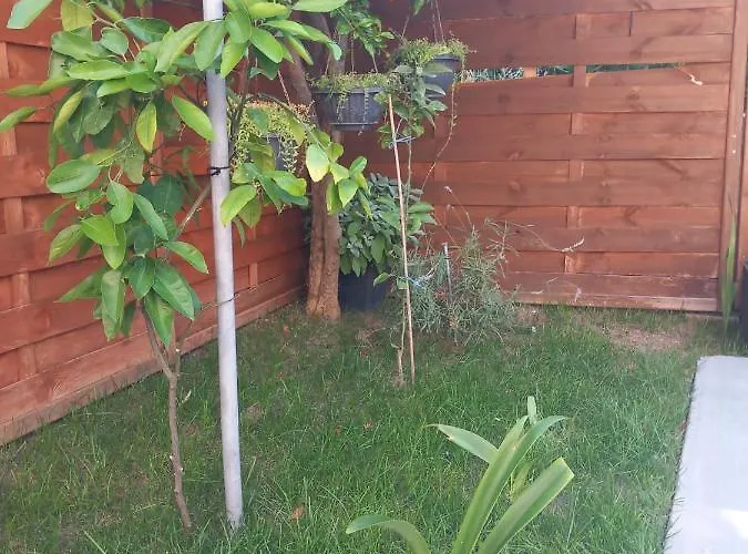 Nika Apartman Razanac